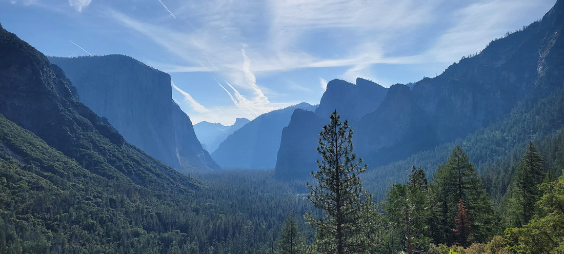 Wide angle shot from the primary entrance to Yosemite Valley. Imposing mountain peaks emerge into a hazy sunny blue sky from a dark green forest.