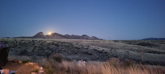 Rolling hills of yellow and light green grass tumble toward a rough pile of low rocky mountains with the moon rising behind them in a deep twilight sky.