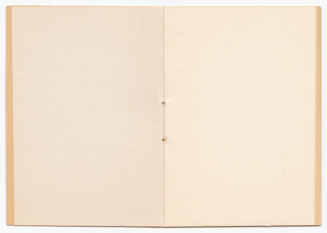 Photo of the inside pages of a book called "This Little Book Contains Every Reason Why Women Should Not Vote" published by the National Woman Suffrage Publishing Company in 1917. Yes, the pages are blank