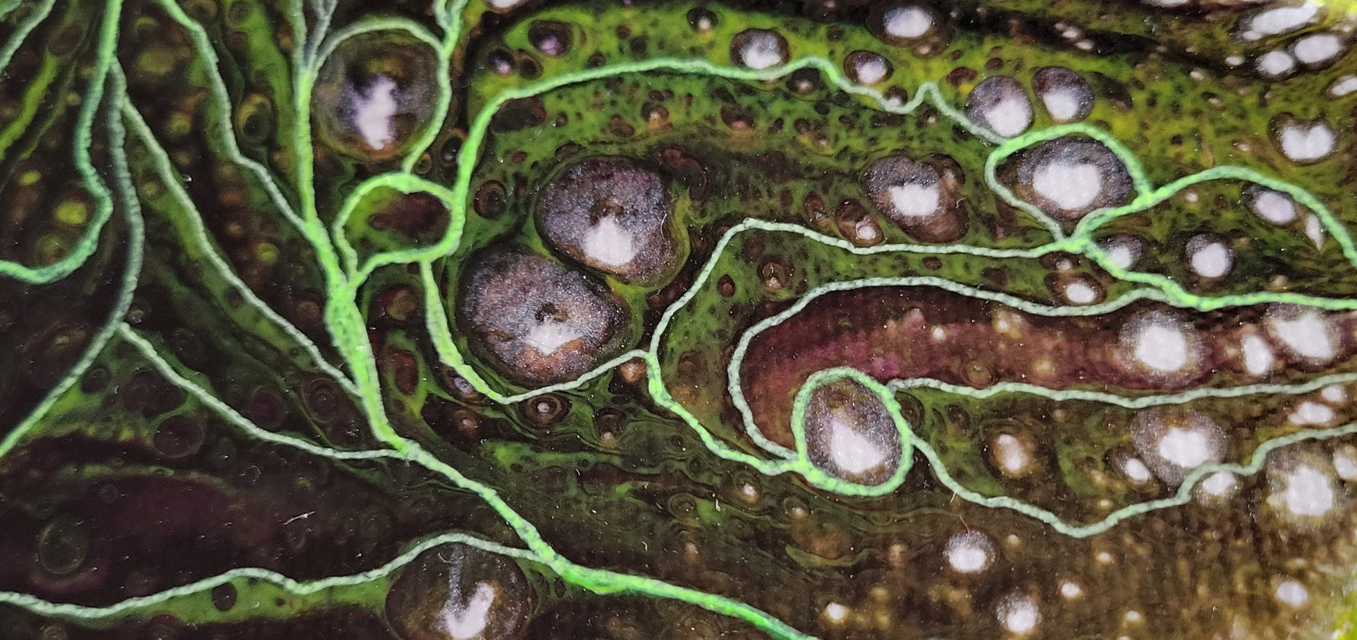 Close-up detail of the bubbles of white coming up through the purple and surrounded by green paint and thin outlines, giving a berry look.