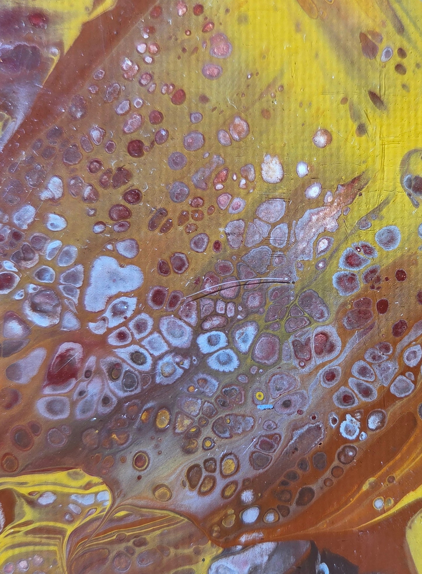 Chocolate Caramel Swirl