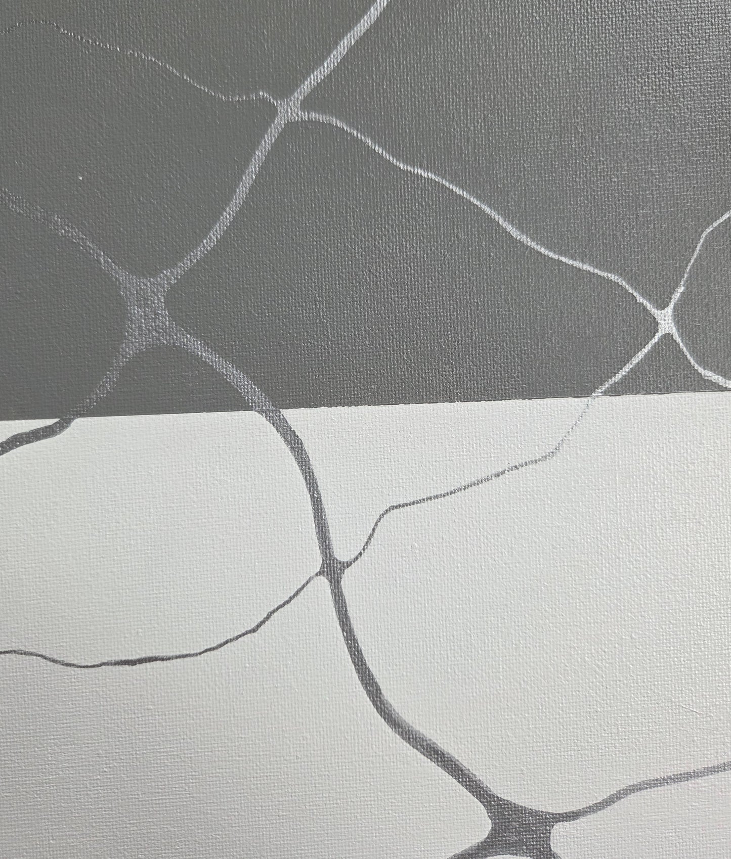 Close-up detail of the gray and white bands of the asexual pride flag showing the intersection of thin and thick silver neurographic lines.