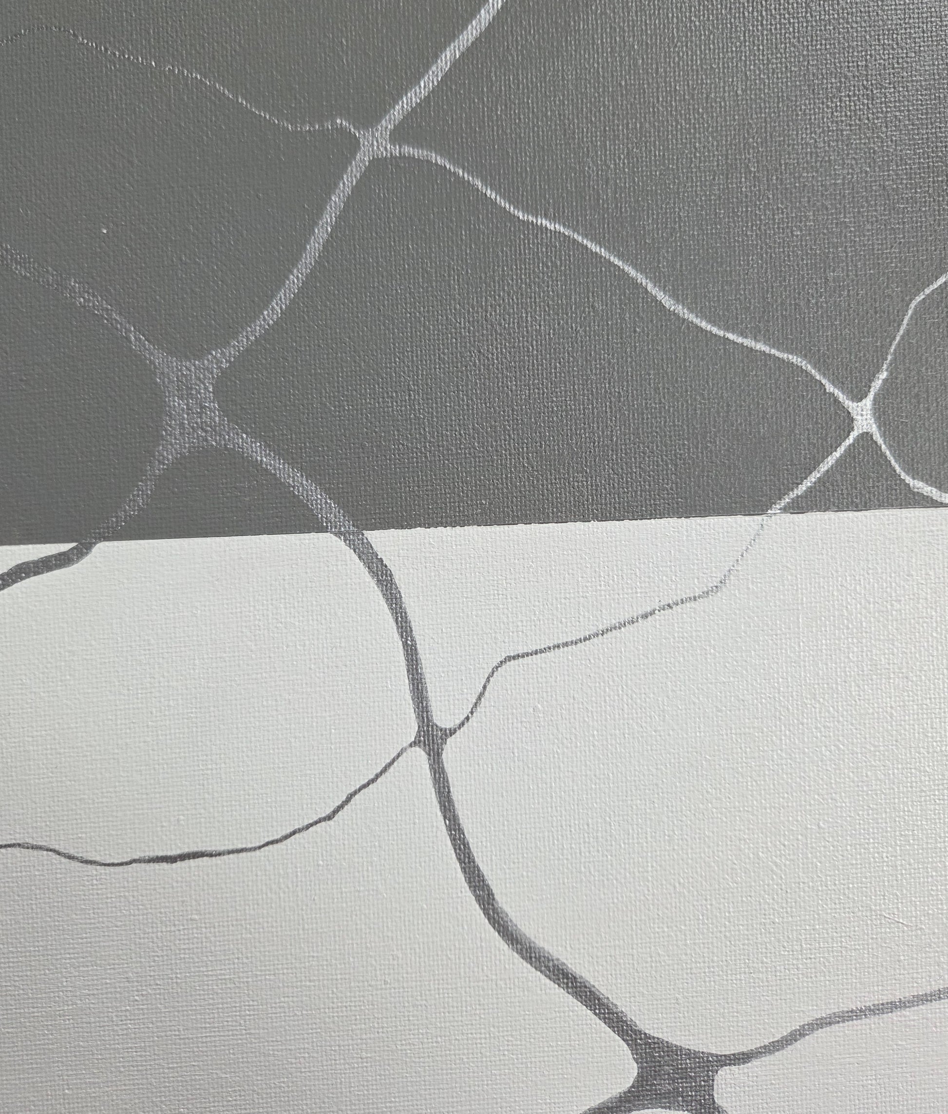 Close-up detail of the gray and white bands of the asexual pride flag showing the intersection of thin and thick silver neurographic lines.